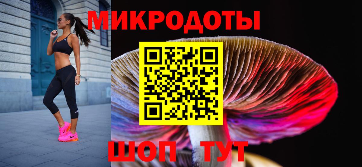 Галлюциногенные грибы MAGIC MUSHROOMS  Вход с VPN  Малоярославец 